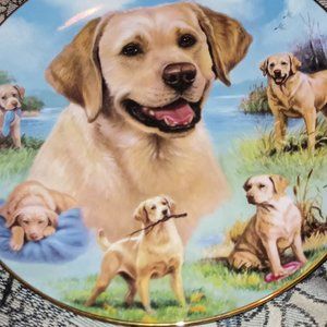 Limited edition three labradors by Jim killen friends for life Linda picken